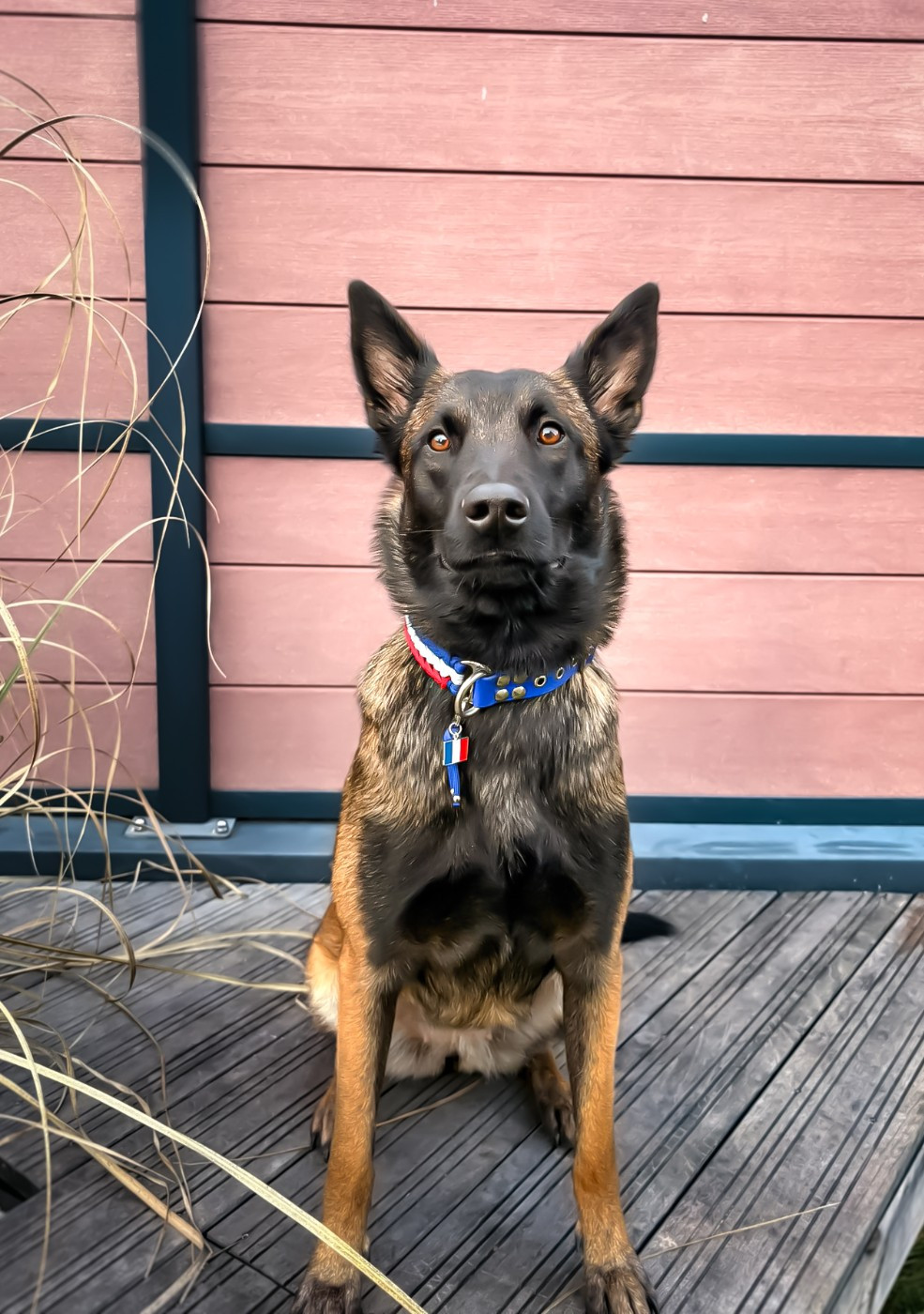 V hera  Des Charbonnay D'Artois