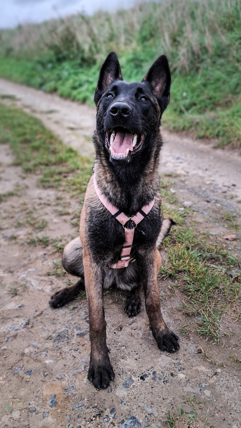 Athena Des Crocs D'Oska