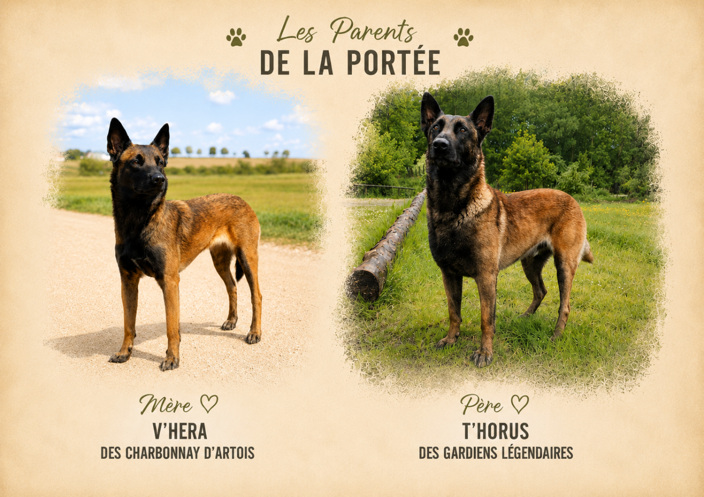 Sailli 2027